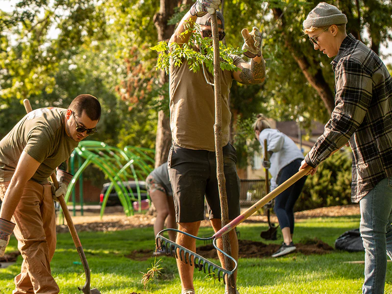 People planting trees together
